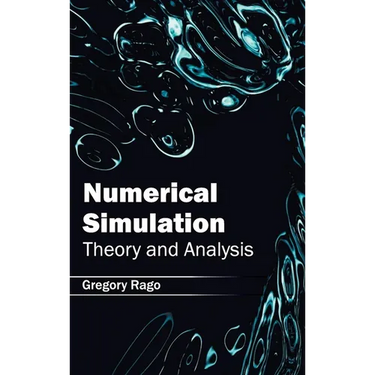 Numerical Simulation: Theory and Analysis