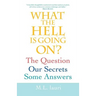 What The Hell Is Going On? The Question, Our Secrets, Some Answers