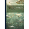 Sponges; Poriferae
