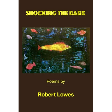 Shocking the Dark