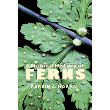 A Natural History of Ferns: A Natural History of Ferns