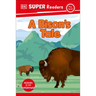 DK Super Readers Pre-Level a Bison's Tale