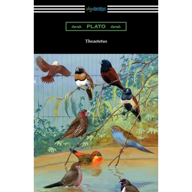 Theaetetus