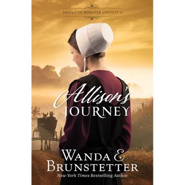 Allison's Journey: Volume 4