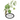 First Studies of Plant Life