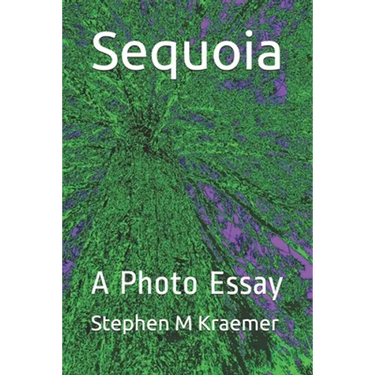Sequoia: A Photo Essay