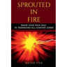 Sprouted In Fire: Know your true self to transcend all comfort zones