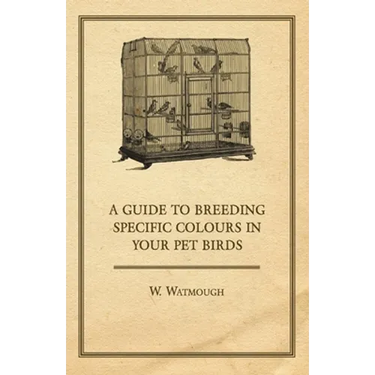 A Guide to Breeding Specific Colours in Your Pet Birds