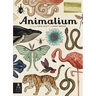 Animalium: Welcome to the Museum