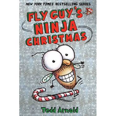 Fly Guy's Ninja Christmas (Fly Guy #16): Volume 16