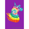 Rainbow Hippie Sheet Music