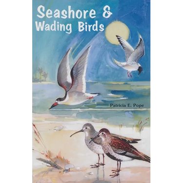 Seashore and Wading Birds of Florida