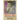 Political Grace: The Revolutionary Theology of John Calvin
