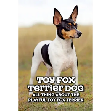 Toy Fox Terrier Dog: All Thing about The Playful Toy Fox Terrier: Toy Fox Terrier Dog Breed Complete Guide