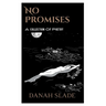 No Promises: Poetry for Soul Shattering Loss
