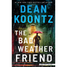 The Bad Weather Friend