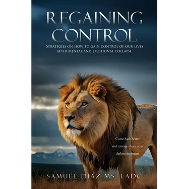 Regaining Control: Strategies on how to gain control of our lives after mental and emotional collapse