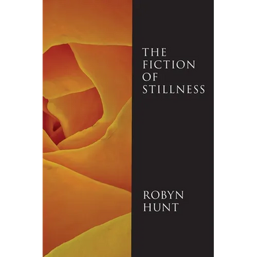 The Fiction of Stillness