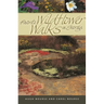 Favorite Wildflower Walks in Georgia