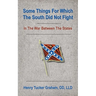 Some Things For Which The South Did Not Fight In The War Between The States