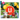 LL