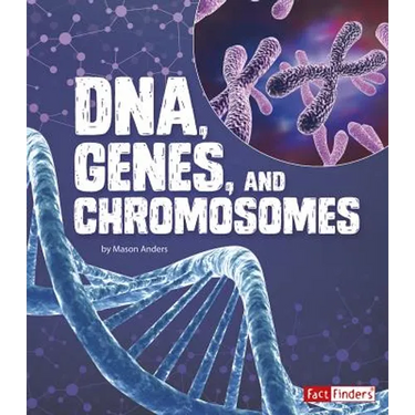 Dna, Genes, and Chromosomes