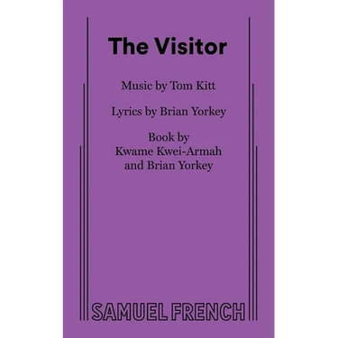 The Visitor