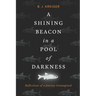 A Shining Beacon in a Pool of Darkness: Reflections of a Journey Unimagined