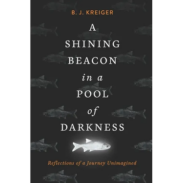 A Shining Beacon in a Pool of Darkness: Reflections of a Journey Unimagined