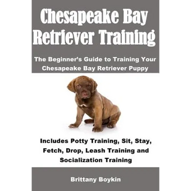 Chesapeake Bay Retriever Training: The Beginner's Guide to Training Your Chesapeake Bay Retriever Puppy: Includes Potty Training, Sit, Stay, Fetch, Dr