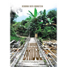 A Narrow Bridge: Awakening From Mental Illness