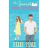 The Secret Book Boyfriend: a small town grumpy sunshine romcom