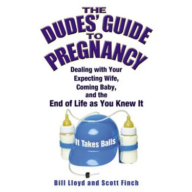 The Dudes' Guide to Pregnancy: Dealing with Your Expecting Wife, Coming Baby, and the End of Life as You Knew It