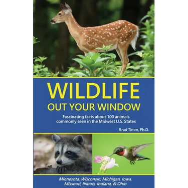 Wildlife Out Your Window: Fascinating Facts About 100 Animals Commonly Seen in the Midwest U.S. States