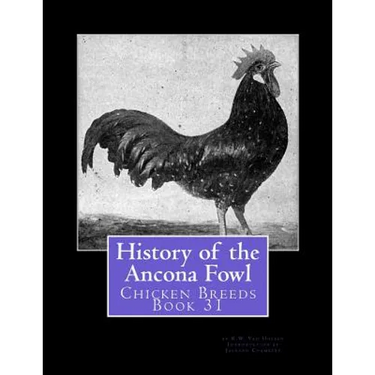 History of the Ancona Fowl: Chicken Breeds Book 31