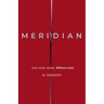 Meridian: A Techno-Thriller