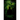 Shadows in the Jungle: A Paul Phillips Mystery
