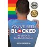 You've Been Blocked: The Search for Gay Male Perfection