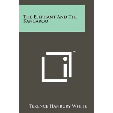 The Elephant And The Kangaroo