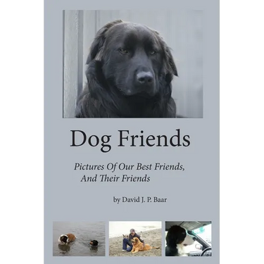 Dog Friends