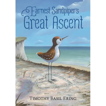 Earnest Sandpiper's Great Ascent