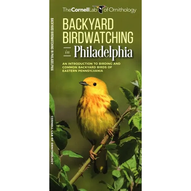Backyard Birdwatching in Philadelphia: An Introduction to Birding and Common Backyard Birds of Eastern Pennsylvania