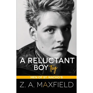 A Reluctant Boy Toy: A demisexual, bi awakening romance
