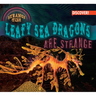 Leafy Sea Dragons Are Strange