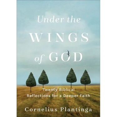 Under the Wings of God: Twenty Biblical Reflections for a Deeper Faith