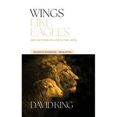 Wings Like Eagles: Reflections on Life in the Lord Volume 6: Ephesians-Revelation