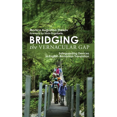 Bridging the Vernacular Gap: Safeguarding Devices in English-Romanian Translation