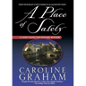 A Place of Safety: A Chief Inspector Barnaby Novel