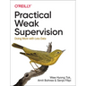 Practical Weak Supervision: Doing More with Less Data