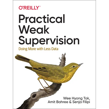 Practical Weak Supervision: Doing More with Less Data